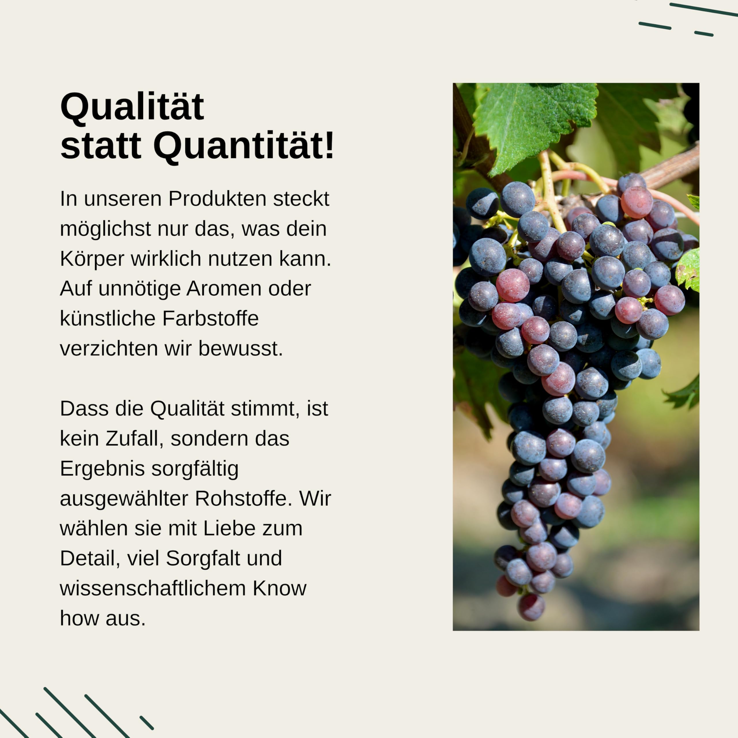 Vita Elements OPC Traubenkernextrakt - 240 Kapseln - 8 Monate Vorrat - Reines OPC aus europäischen Trauben - Hochdosiert - Vegan - Laborgeprüft - Ohne Zusätze