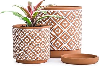 Set of 2 Terracotta Pots, Geometric Pattern Planter Pot, 4 Inch and 6 Inch, Pot with Drainage Hole and Saucer, Terracotta/...
