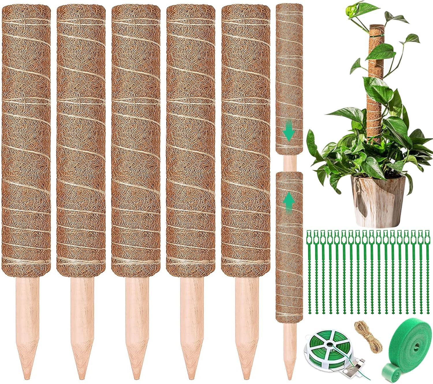 5 Pezzi Palo per Fibra di Cocco per Piante, Monstera Rampicanti Supporto estendibile fino a 160 cm, Bastone Muschiato, Ostegno Piante Rampicanti Cocco per Casa Giardino