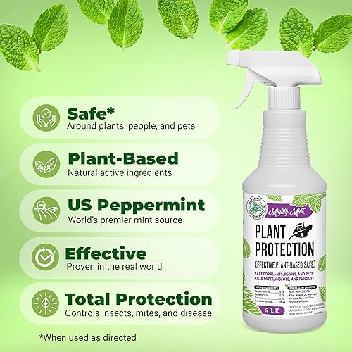 Miniatura 4 de Mighty Mint Spray de protección de plantas de menta de 32 onzas, para ácaros, insectos, mosquitos, hongos y enfermedades con paño de microfibra