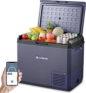 AAOBOSI Frigorífico 12 V Compressor, 60 L, frigorífico portátil elétrico para carro, 20 °C a -20 °C 12/24 V CC 100-240 V CA frigorífico portátil com aplicação controlar, para casa, campismo, viagens