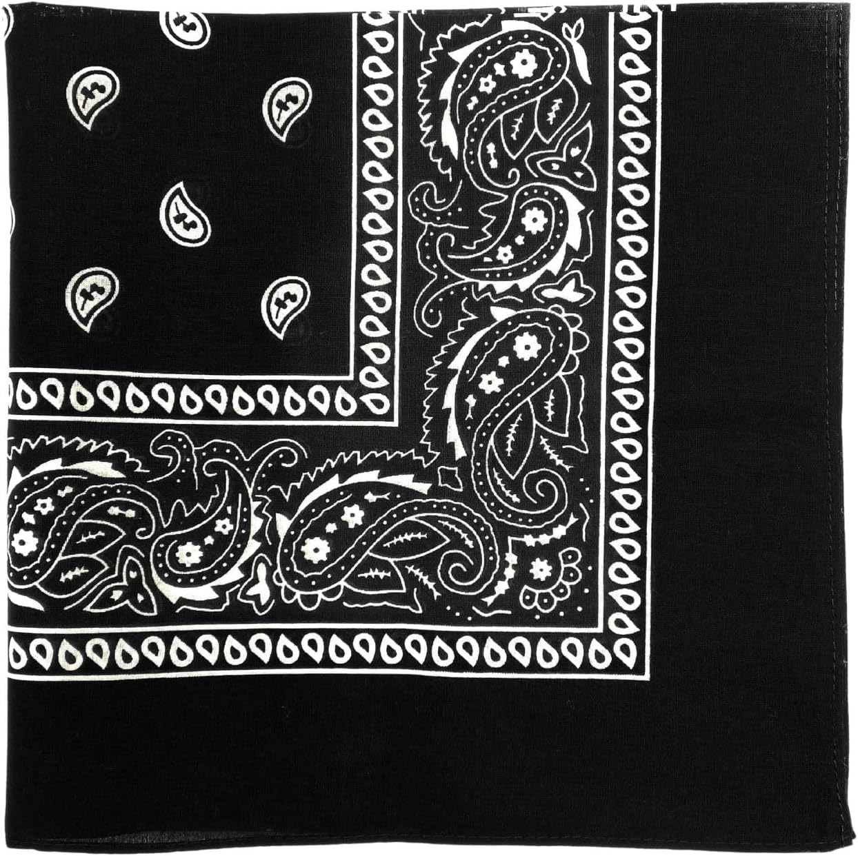 Paisley Bandana 22" x 22"