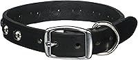 Vista 6 de Leather Brothers 12LS-BK12 - Collar de perro de cuero Latigo con tachuelas, tamaño pequeño, color negro