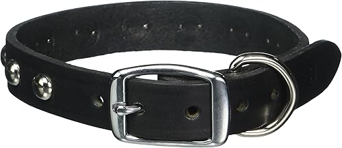Miniatura 6 de Leather Brothers 12LS-BK12 - Collar de perro de cuero Latigo con tachuelas, tamaño pequeño, color negro