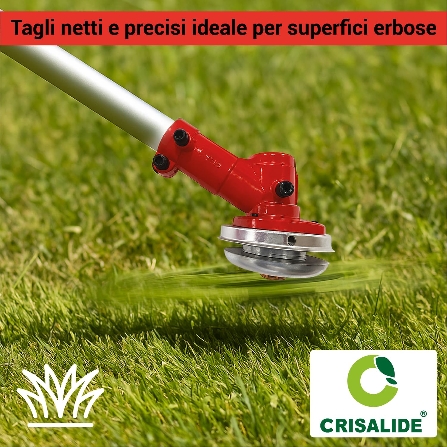 Crisalide Desbrozadora de explosión de 43 cc, motor de 2 tiempos, potencia 1,25 kW (8000 rpm) – Cuchilla de 3 dientes + cabezal de nailon + arnés – Cortacésped profesional para jardín y huerto