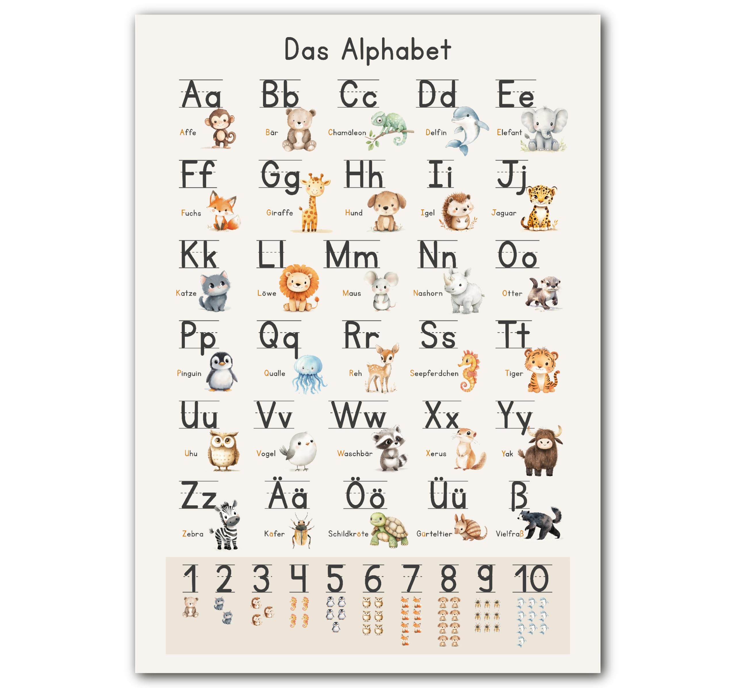 CYUaoao Set Di 16 Poster Educativi Laminati 28x42 Cm: Alfabeto, Numeri, Animali, Forme, Stagioni, Perfetti Per Casa E Scuola