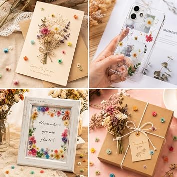 300 Pcs Mini Dried Flowers for Resin, Small Dried Flowers for Crafts