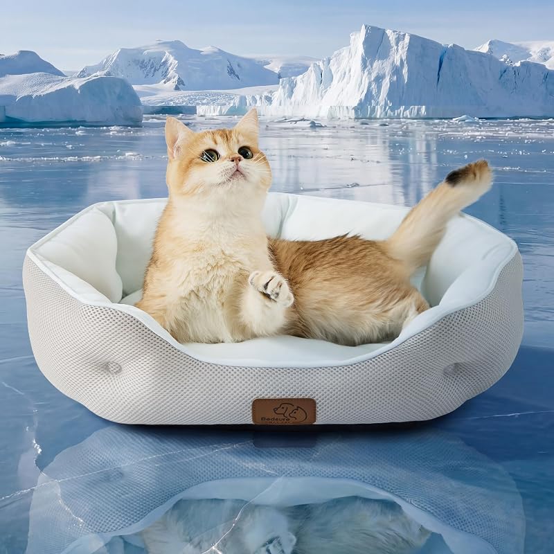 Cama refrescante redonda para cães pequenos e gatos Bedsure com tecido Q-Max 0.4, 50,8 x 48,3 x 15,2 cm