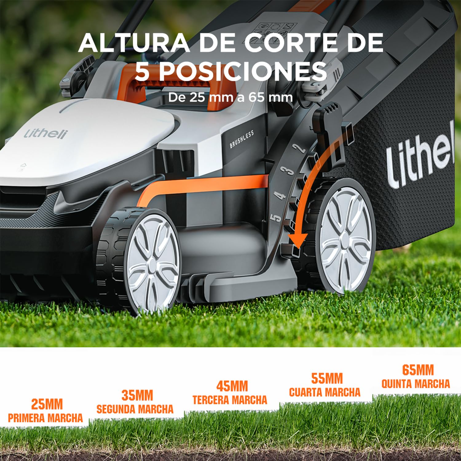 Litheli Cortacésped Batería 33cm, 1x 20V 4,0Ah Batería, hasta 200 m², 30L Bolsa Recolectora, 25-65 mm, 5 Niveles de Altura de Corte