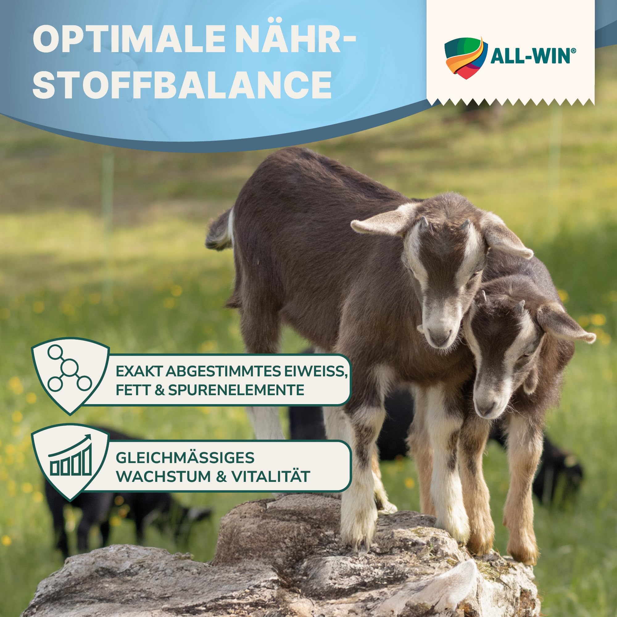 ALL-WIN Biotik Lämmermilch 25 kg – Milchaustauscher für Schaflämmer & Ziegenkitze | Premium Aufzuchtmilch mit Vitaminen A, D3 & E | Hochverdaulich & stabil | Optimale Nährstoffversorgung ab dem 1. Tag