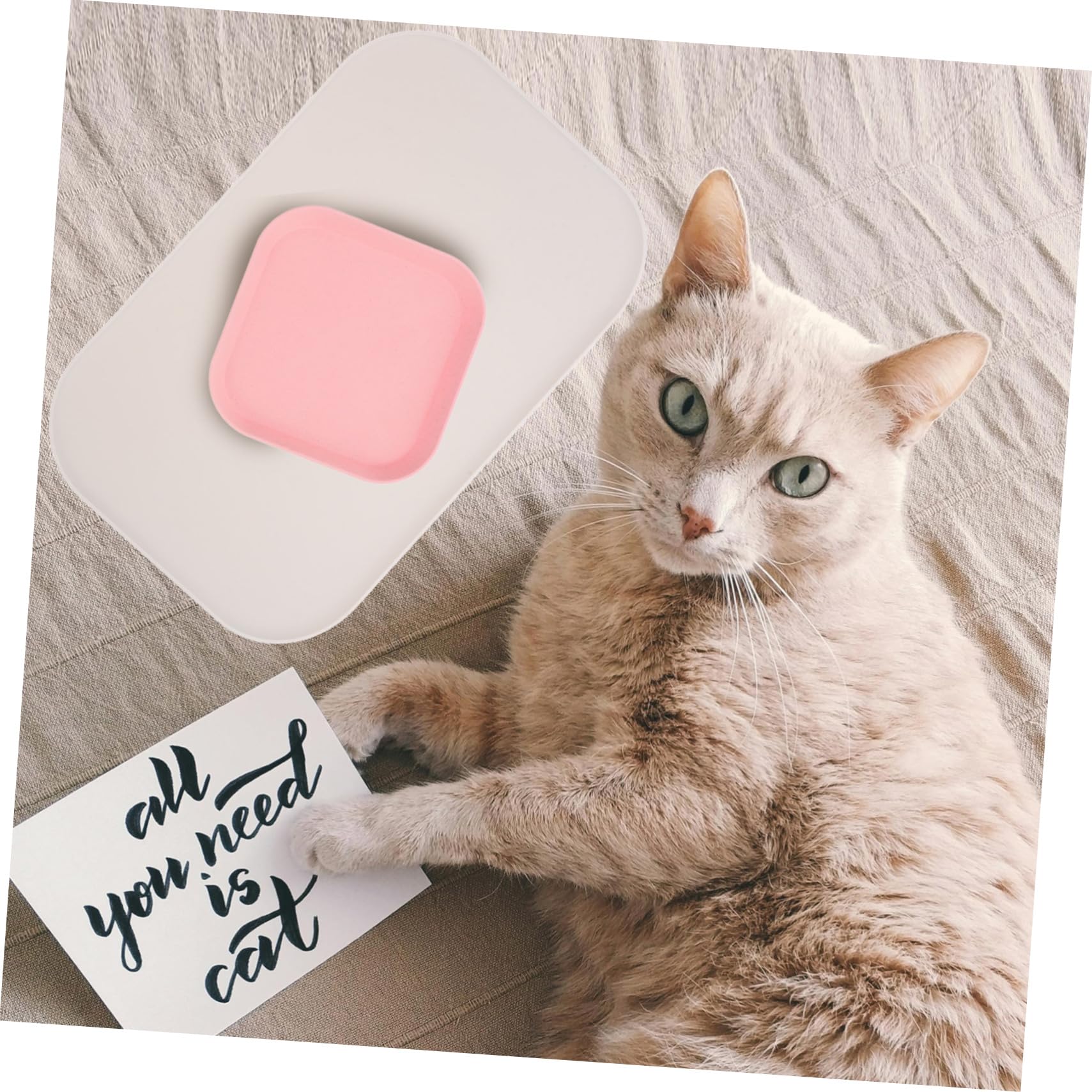 INOOMP 5stücke Erhöhte wasserdichte Silikon-pet-futtermatte Mit Rutschfestem Design Für Katzen Und Hunde Schützt Boden Vor Verschütten Und Wasser