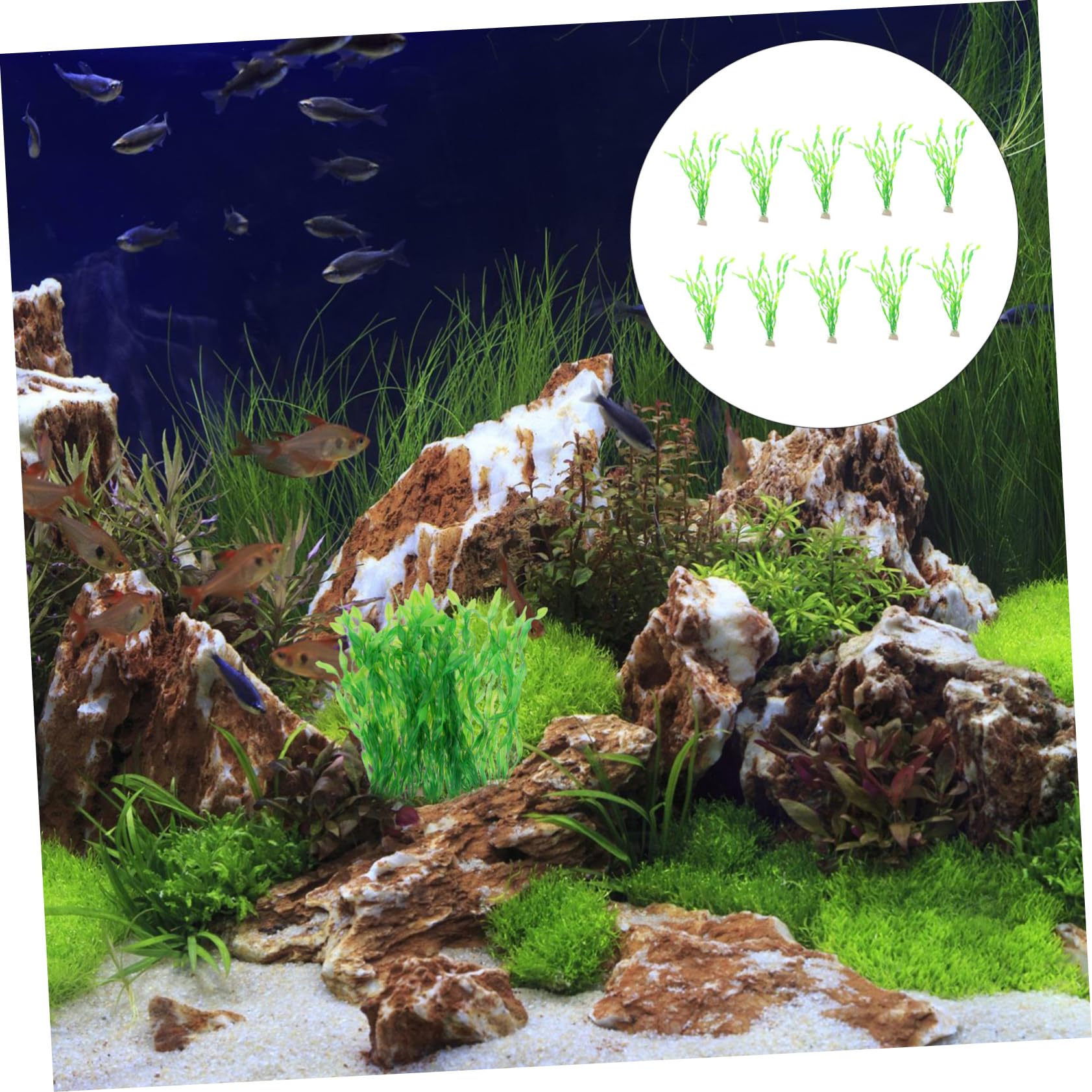 20stücke Künstliche Wasserpflanzen Für Aquarium Dekoration Simulation Von Kelpgras Und Aquarienpflanzen Für Fischbehälter Und Teiche Hochwertige Dekoration