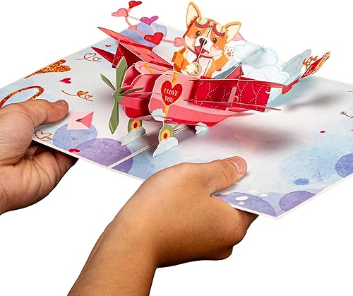 Miniatura 3 de Paper Love Frndly - Tarjeta romántica de biplano 3D para perro, para cumpleaños, día de la madre, aniversario, para todas las ocasiones, hecha a