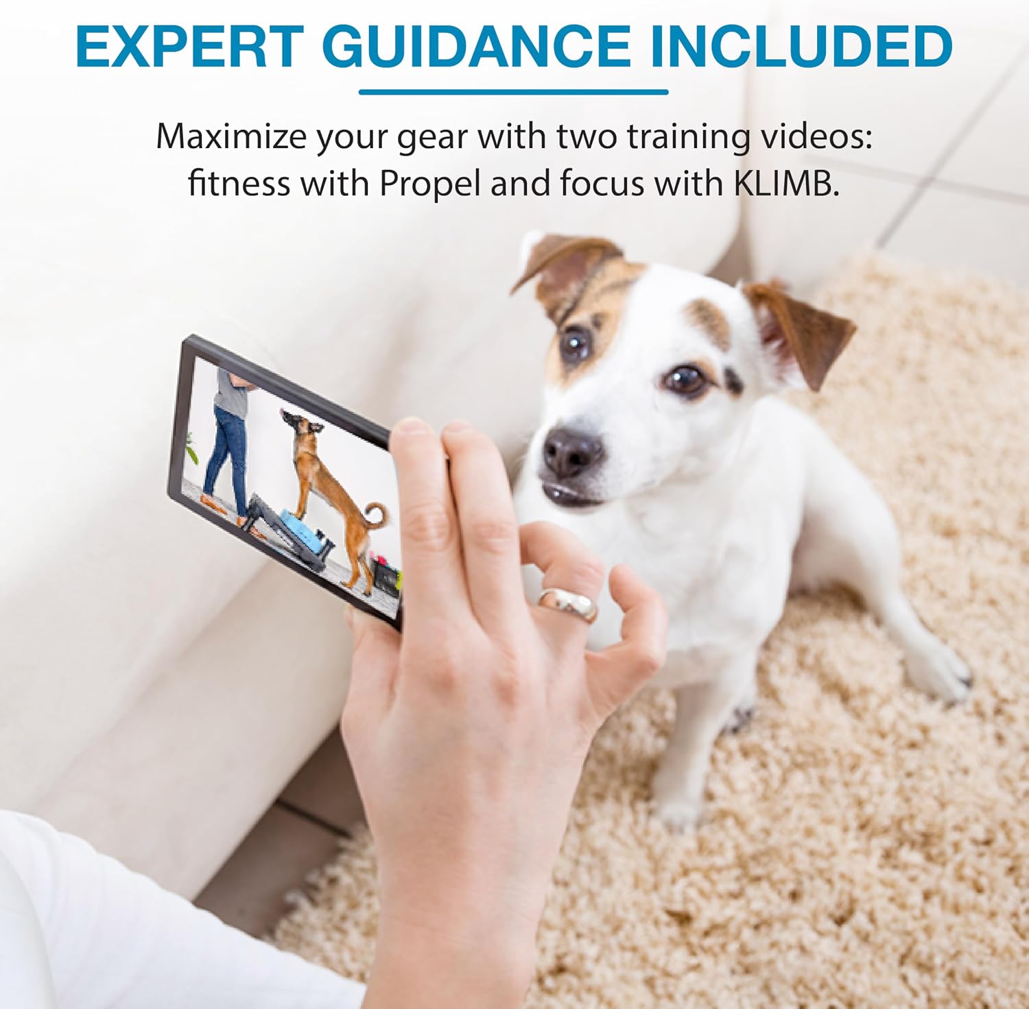 Blue-9 KLIMB Training Bundle with 2 Propel Platforms, Pump & Videos, Black
