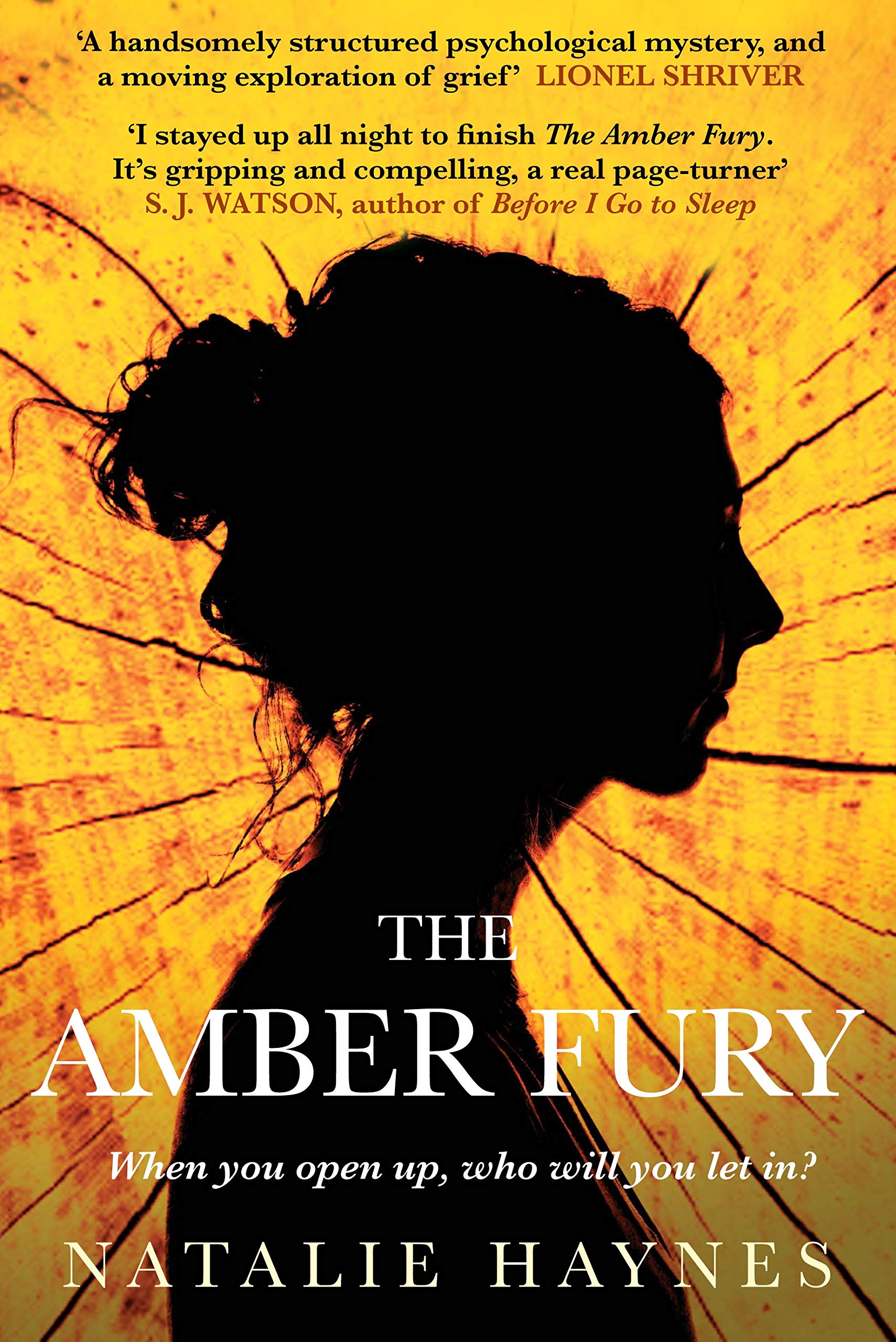 Buy The Amber Fury — BookShops.in