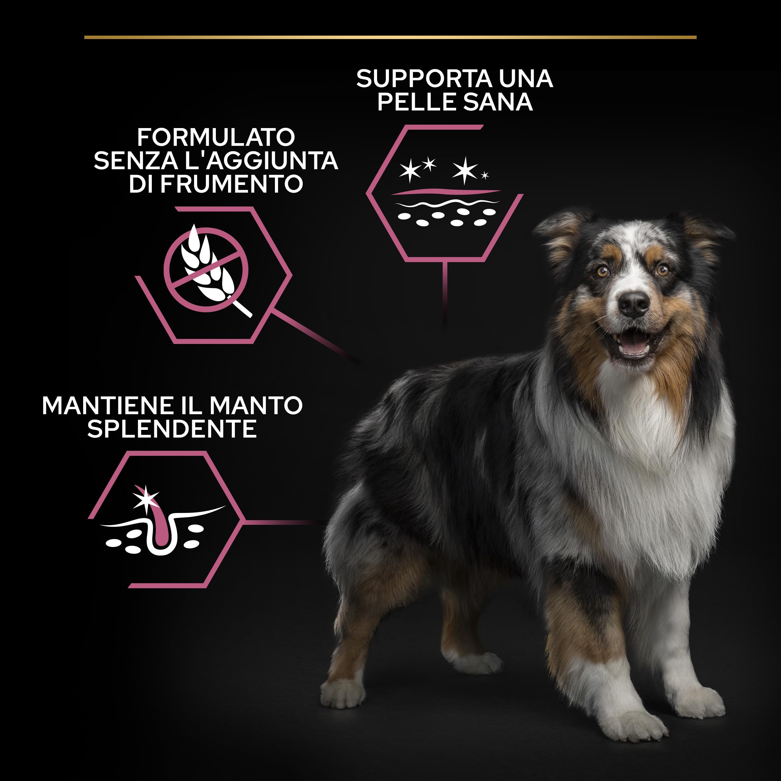 Purina Pro Plan Optiderma Medium Adult Crocchette per Cane con Salmone 14kg