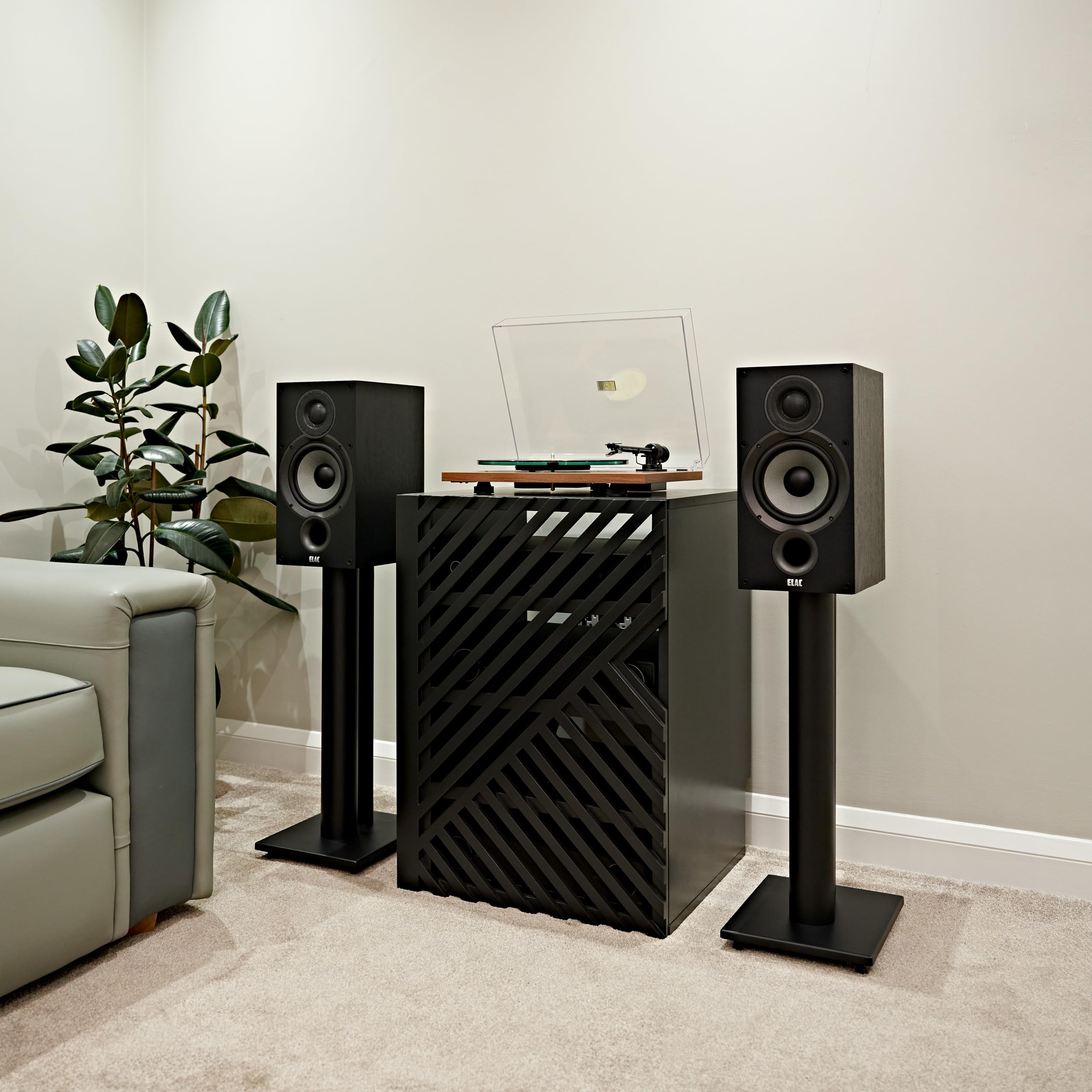Amazon.co.jp: ELAC Debut 2.0 B6.2 ブックシェルフスピーカー