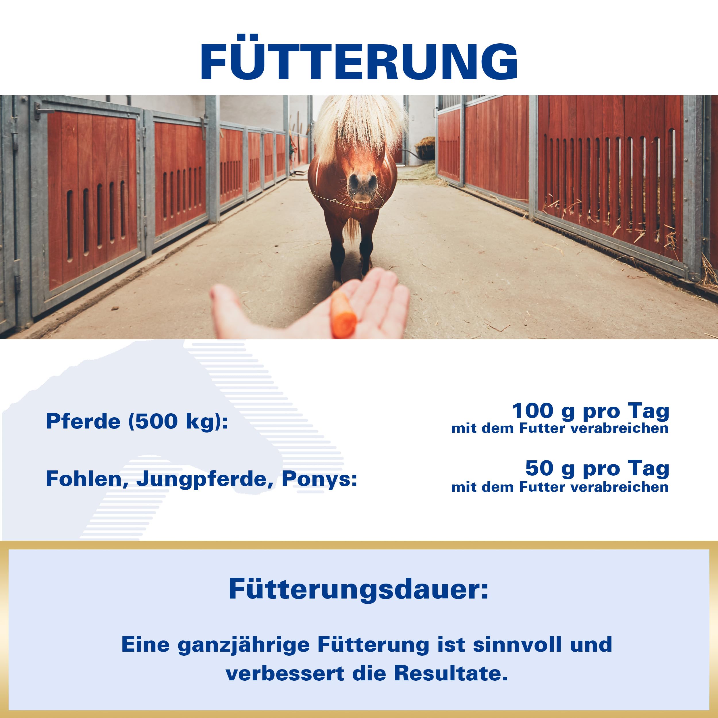 EQUIPUR Senior (polvere) 5 kg | Mangime minerale per cavalli anziani (cavalli seniori) | oligoelementi legati organicamente |
