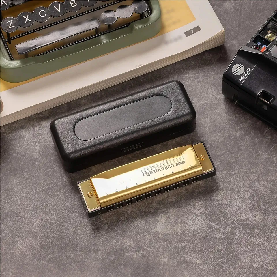 Gaita para adultos iniciantes 10 furos chave de gaita diatônica de C, chave C de órgão de boca de metal