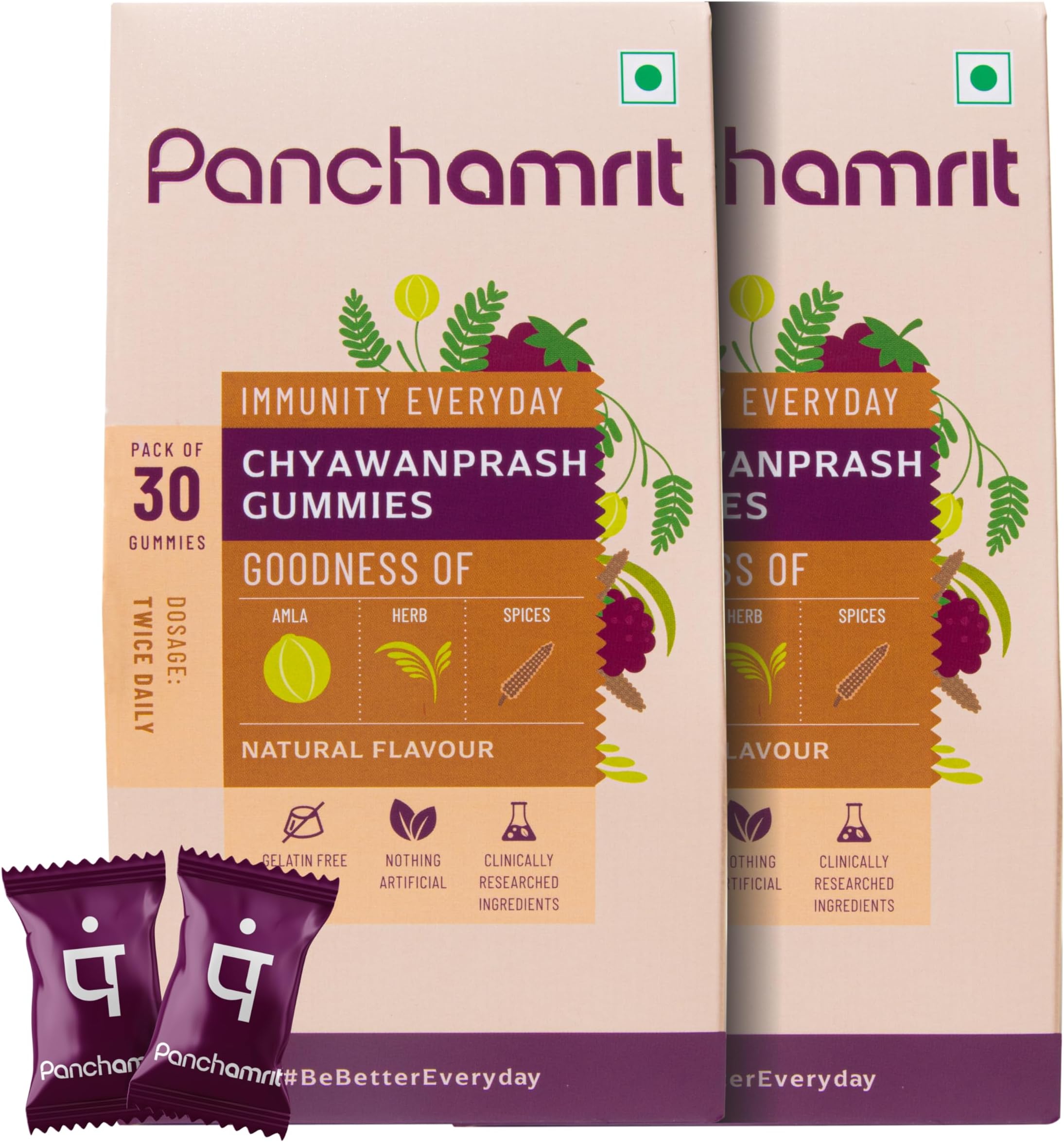 All Natural Chyawanprash Gummies - 30 Gummies (Pack of 2) Helps in Immunity & Energy Levels Along with Ayurvedic Herbs, Vitamin C Rich Amla for Kids & Adult