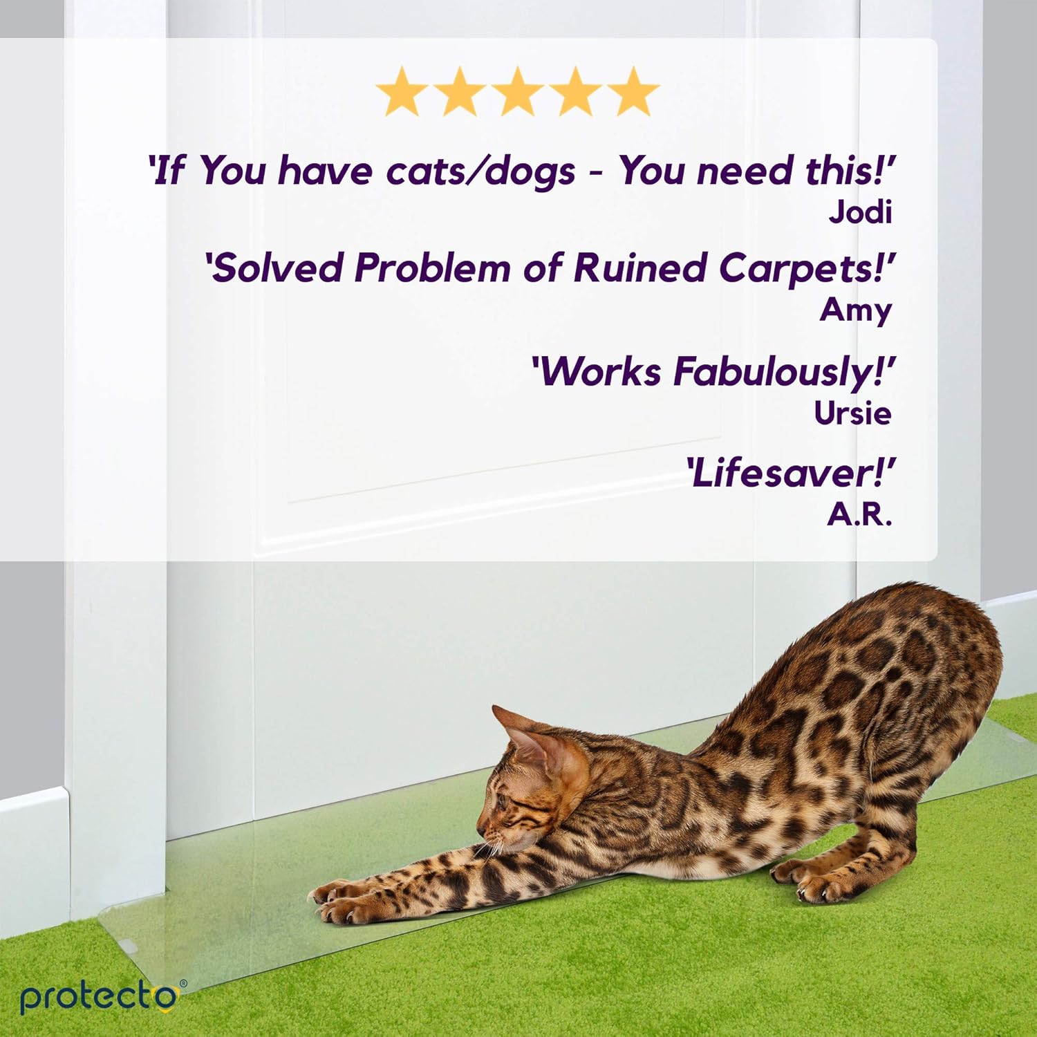 cat claw proof carpet