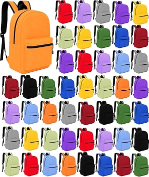 Winterlace 48 Pack Backpack, Bulk 17 inch Outdoor Travel Zippered Bags Bulk Pack School Children Adults Events Assorted Colors