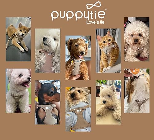 Miniatura 6 de Arnés sin tirones Puppytie para perro, con correa multifunción, pechera suave y ajustable para mascota, no ahorca, chaleco a prueba de escape para