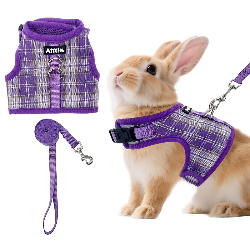 Peitoral ajustável de poliéster com guia para pequenos animais Aiitle – Purple, S