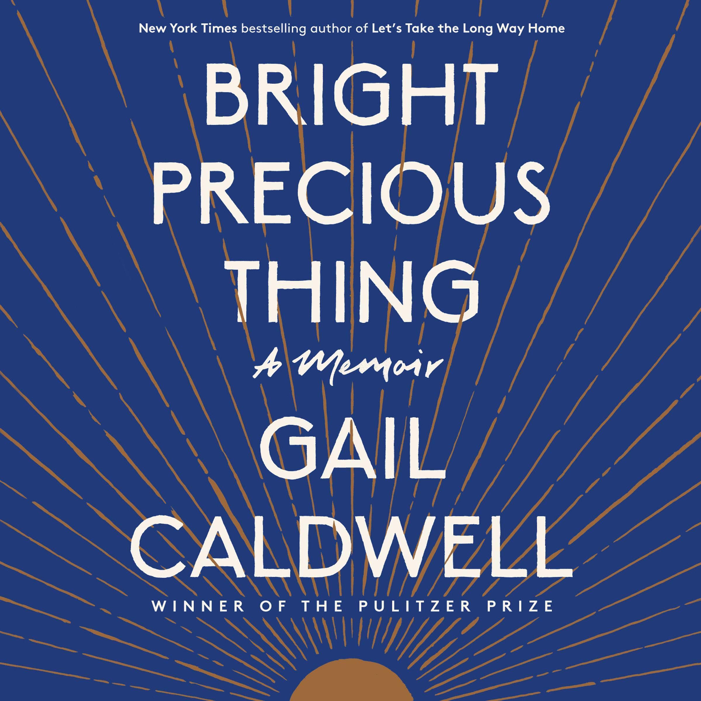Cover art for Bright Precious Thing