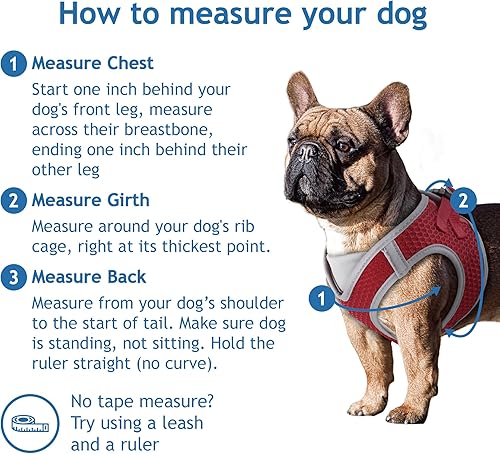 Miniatura 3 de KRUZ PET KZA308  Arnés reflejante con cuello en V de malla para perro sin jalones facilita el paseo ajuste rápido cómodo con velcro ajustable para