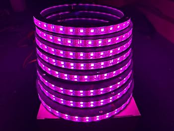 フェスキメ ムチャ リングライト Amazon.co.jp: NA 6.5インチ 車用LEDスピーカーリングライト