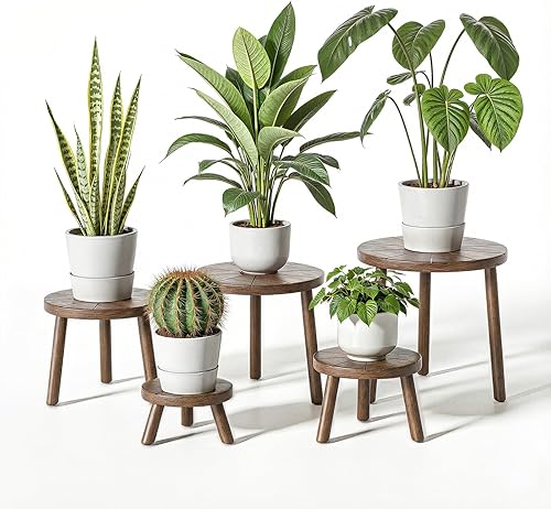 Delma Soportes de madera para plantas de interior, paquete de 5 soportes individuales para macetas de 6 a 12 pulgadas, taburete moderno de mediados