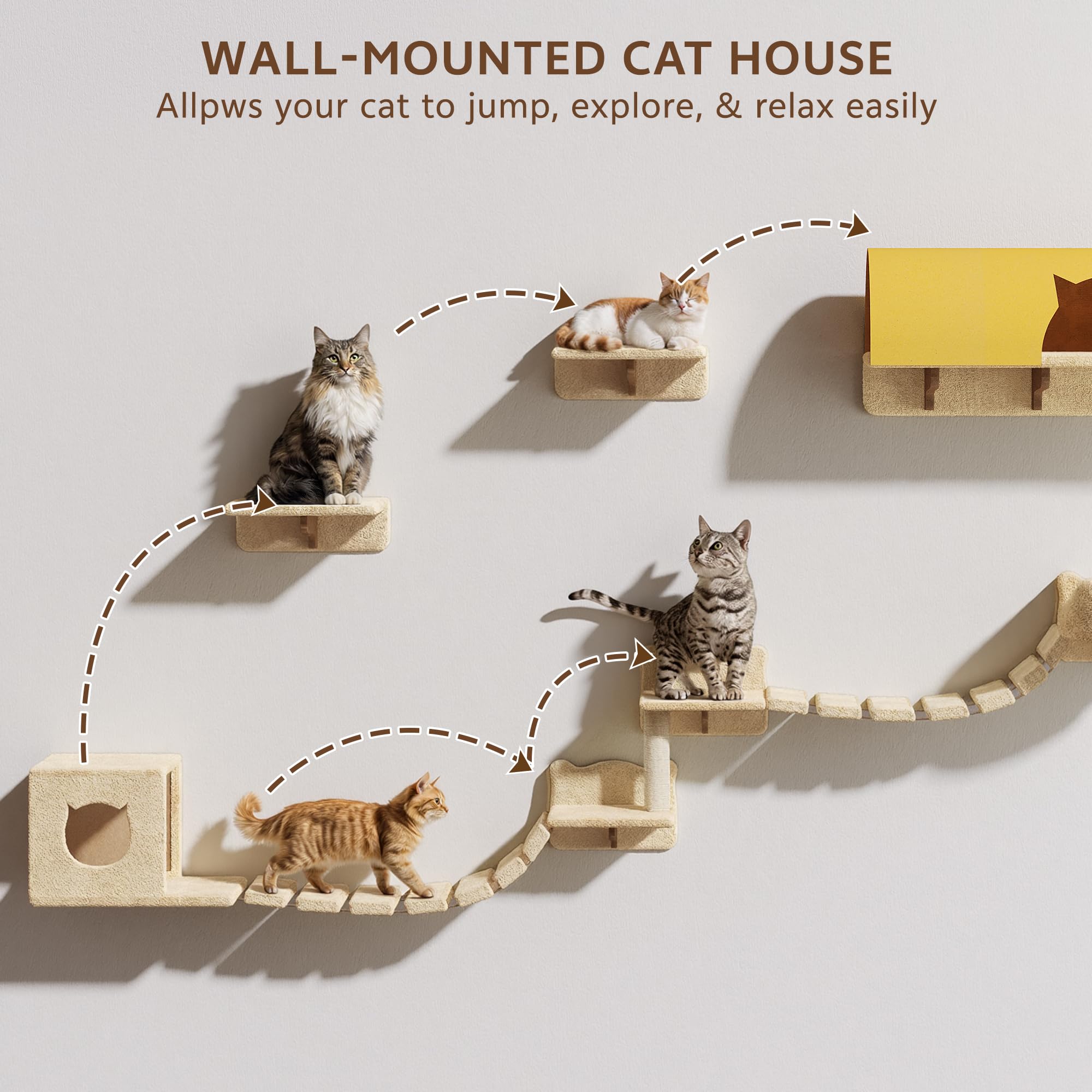 Multiple cats navigating the wall-mounted cat house, shelves, and bridge, demonstrating how the system allows cats to jump, explore, and relax.