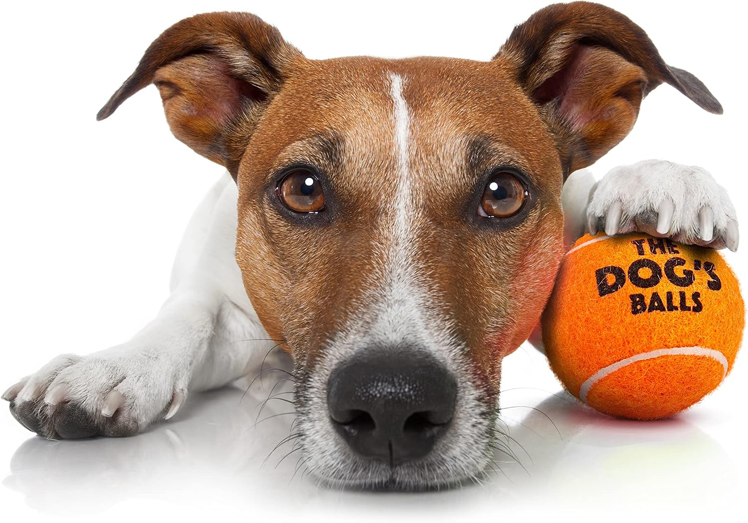 The Dog's Balls - Dog Tennis Balls, Orange, Small, 6‑Pack, 6 Small Tennis Balls - Image 4