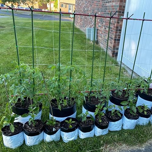 Miniatura 5 de Estacas para Plantas de Jardín de 48 Pulgadas 4 Pies Soporte de Palo de Acero para Plantas, Paquete de 25 Estacas de Tomate para Cultivo de Plantas