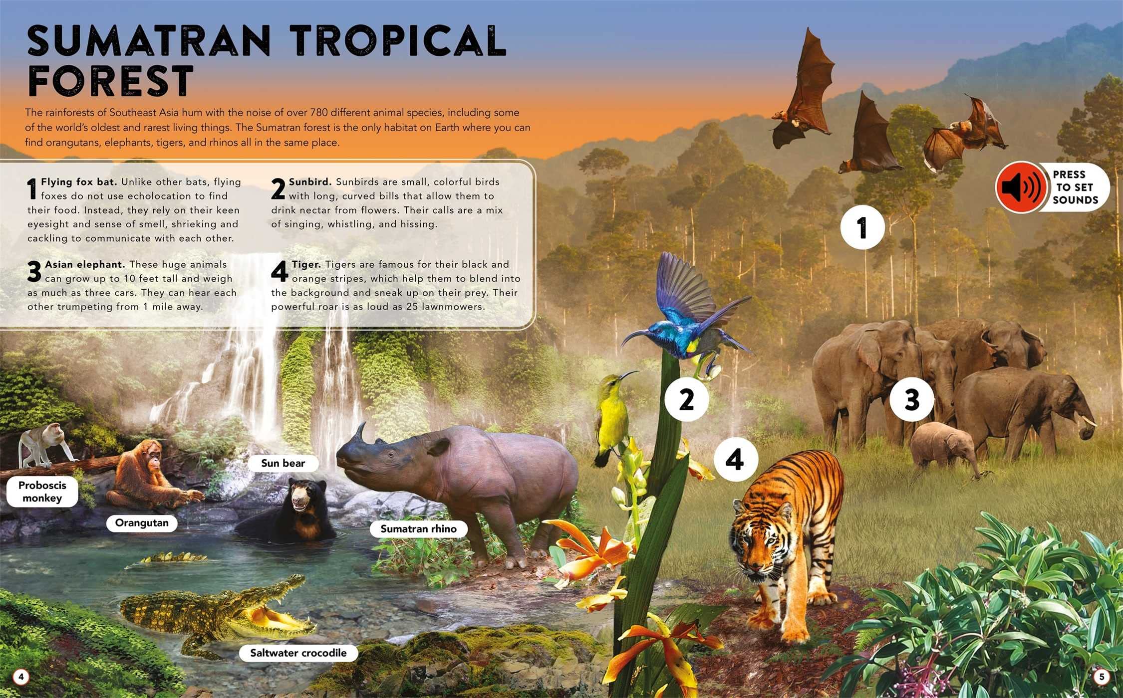 The Animal Kingdom