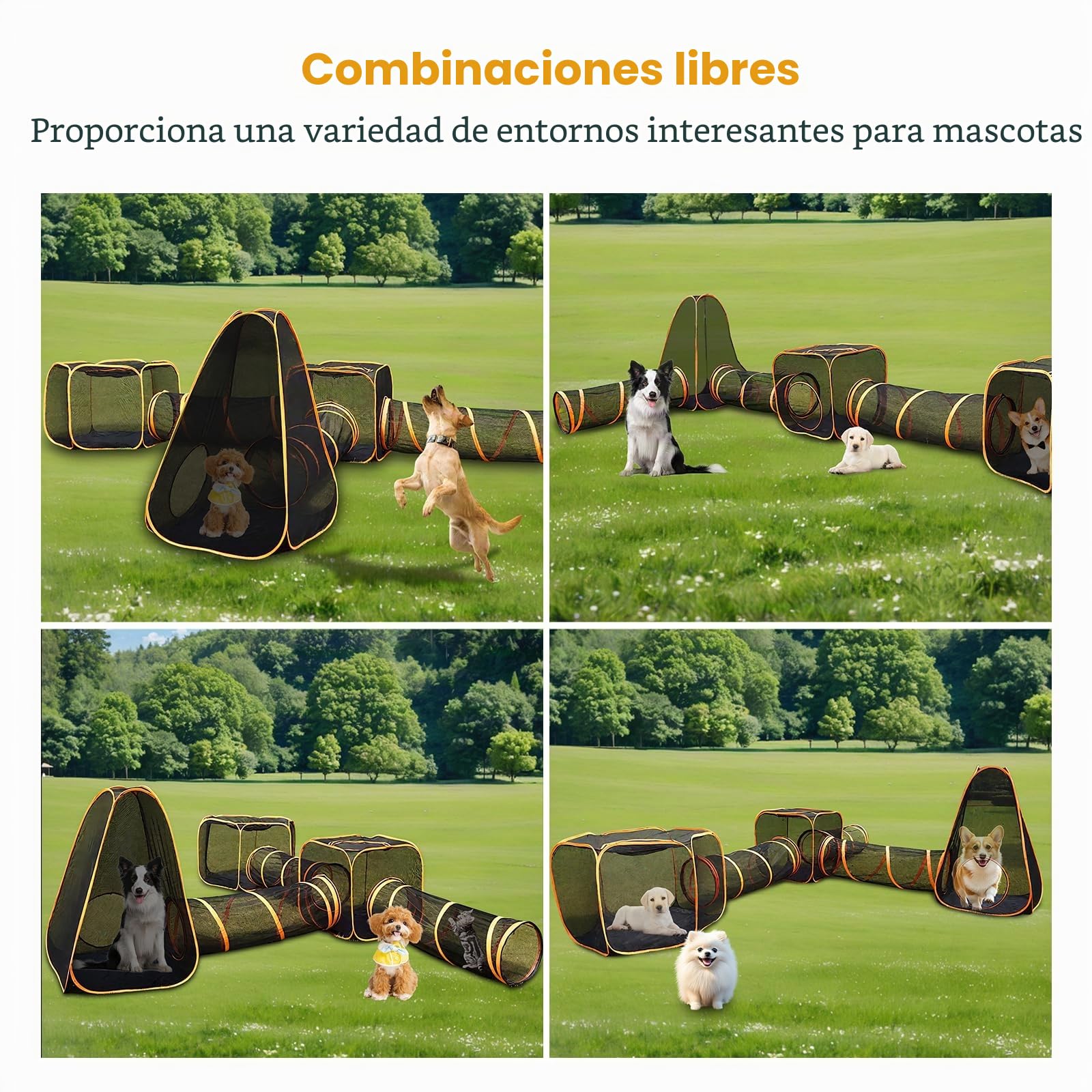 Túnel para Mascotas, Recinto Plegable 6 en 1 para Gatos | Tienda de Juegos para Perros para Exteriores, Casa de Juegos para Gatos de Interior con Túneles para Mascotas