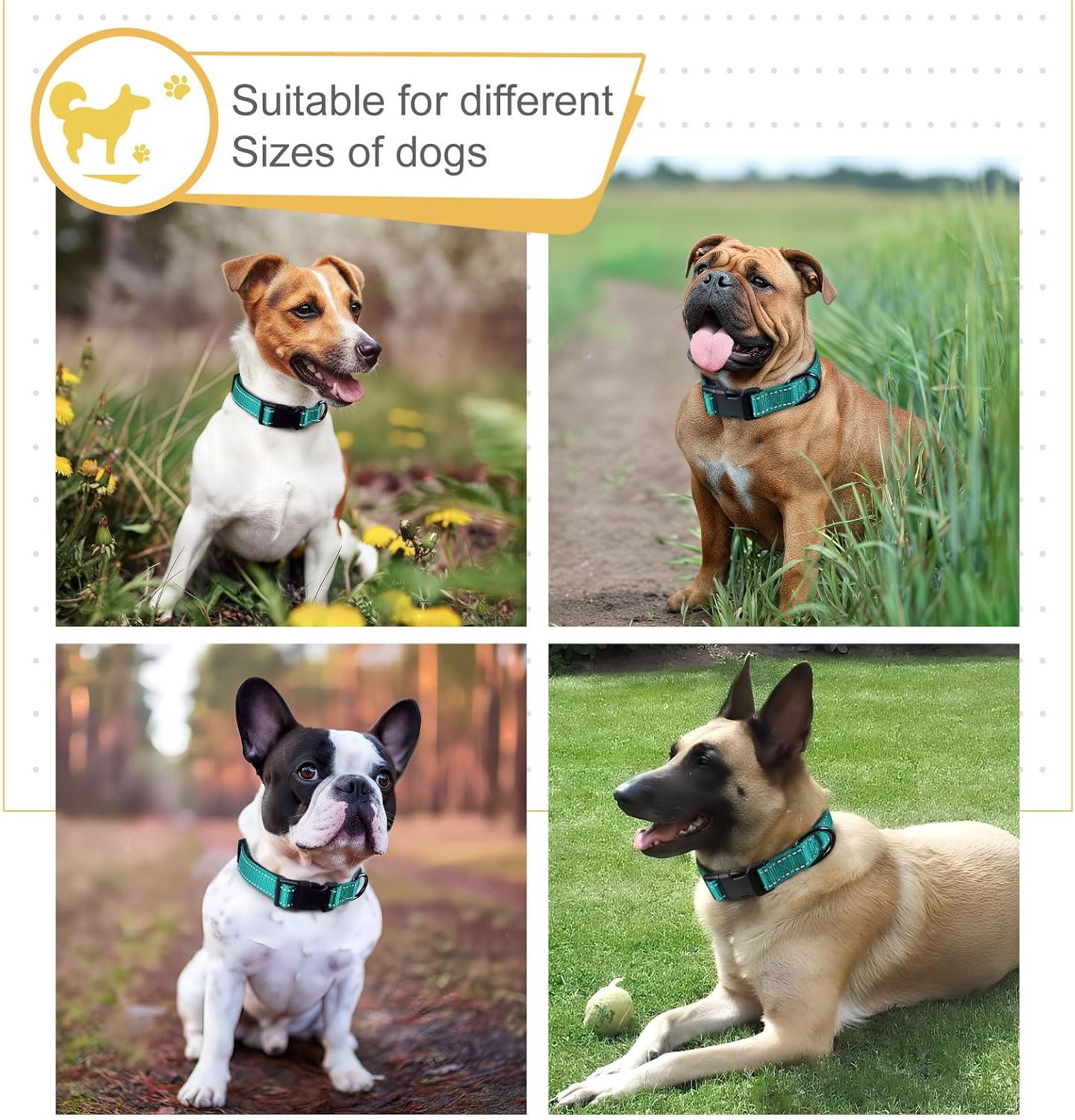 HEELE Dog Collar, Reflective Dog Collar, Soft Neoprene Padded Breathable Nylon Pet Collar Adjustable for Large Dogs, Turquoise, L(15.74-25.98") image 5
