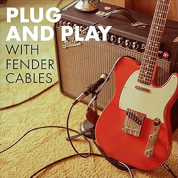 Amazon | Fender シールドケーブル Deluxe Series Instrument Cable