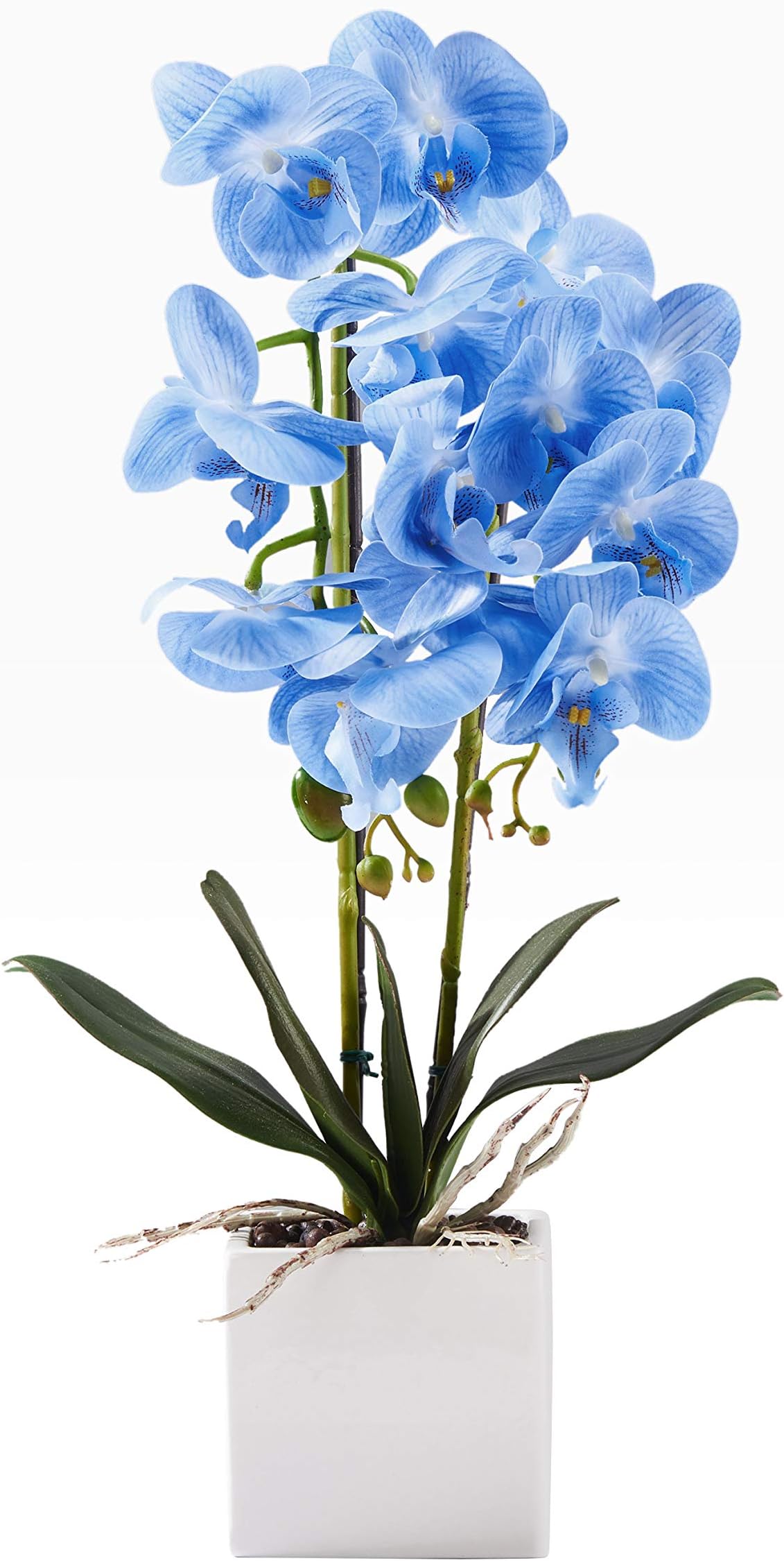 55cm Blue Silk Phalaenopsis Flower with White Vase