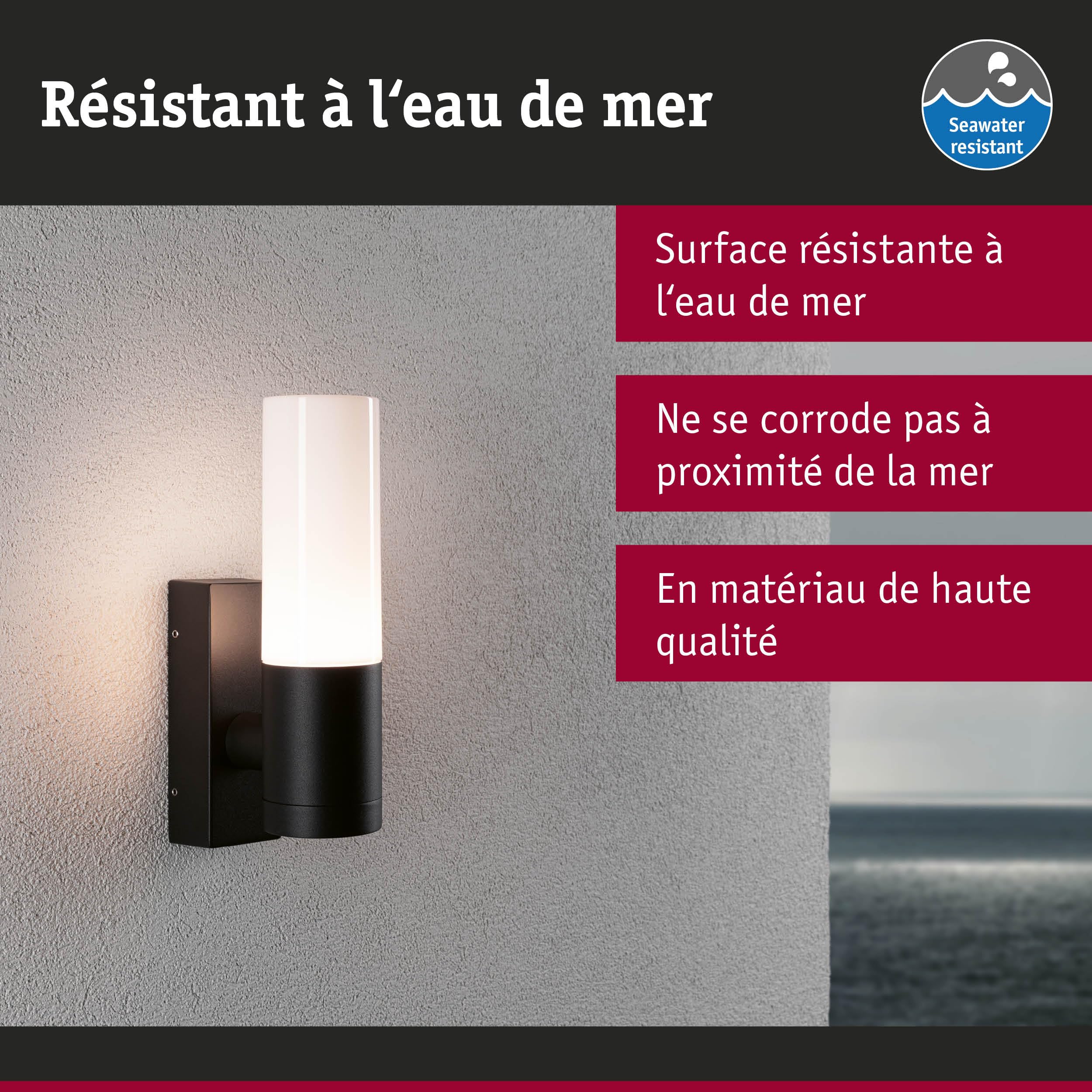 Paulmann 94787 applique d'extérieur Tralia IP44 max. 10W 250 mm Anthracite aluminium E27 - Luminaire d'extérieur sans ampoule