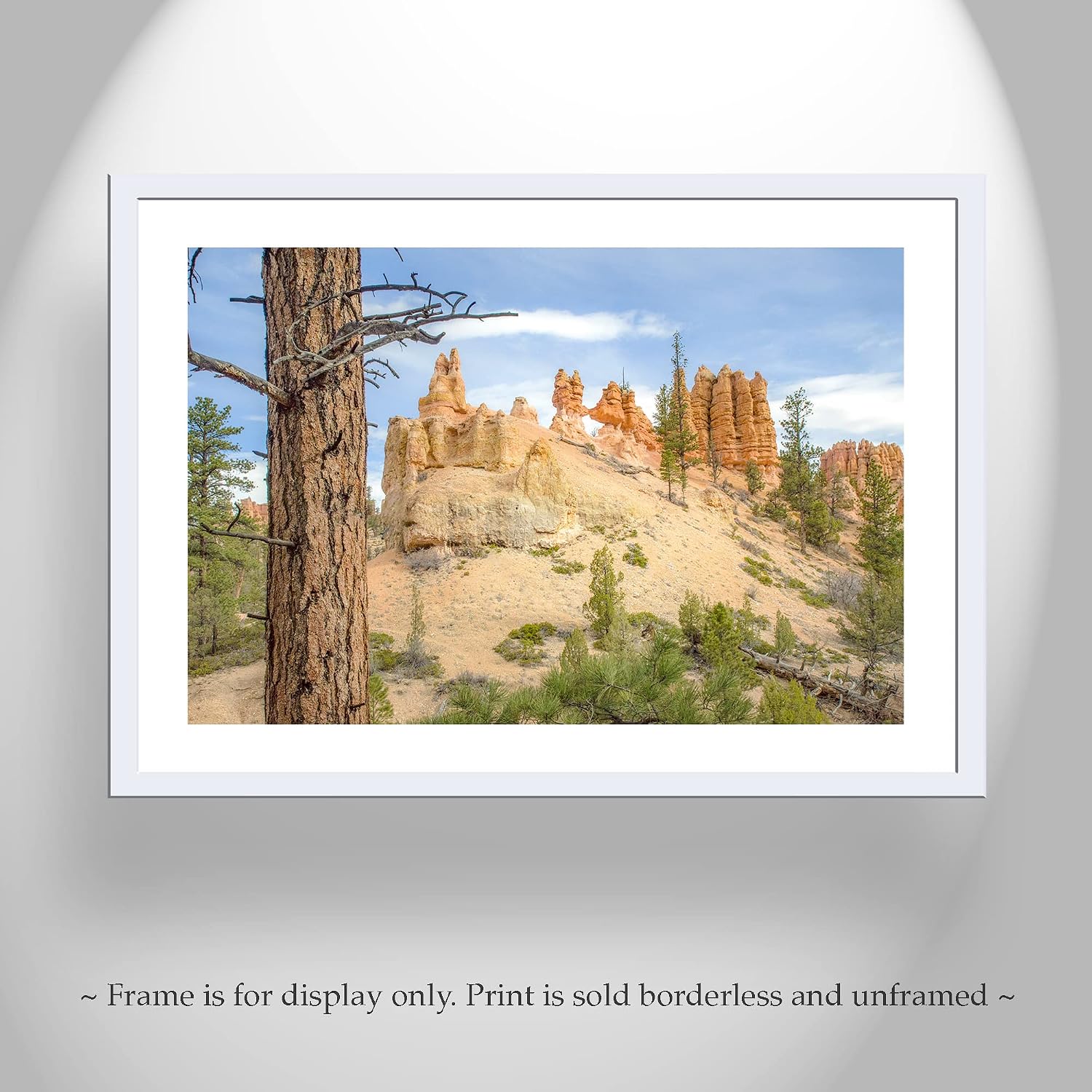 Utah Desert Landscape Photograph at Bryce Canyon National Park as Wall Decor for Home