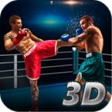 Tiger Thai Box Fighting Tiger 3D