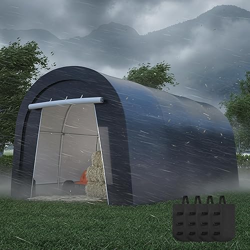 Wisteria Lane Heavy Duty Carport with 4 Cloth Bags, All-Weather Car Canopy with 2 Roll-up Doors, Portable Garage Storage Shelter Shed for Cars, Truck, or Garden Tools, 10' x 20'