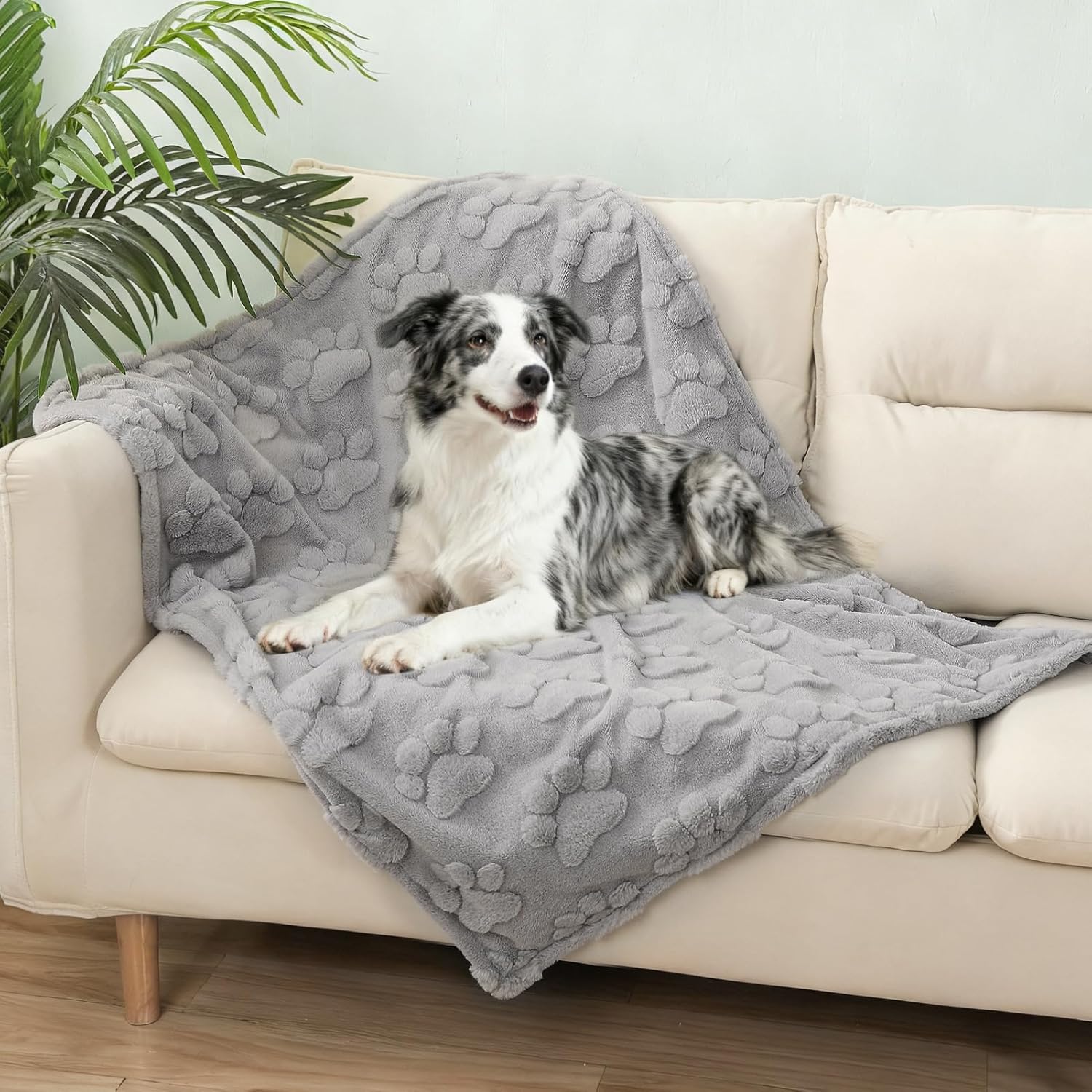 BEAUTYZOO Waterproof Dog Blankets for Large Dogs, Dog Blanket for Couch Sofa Bed, Super Soft Premium Coral Fleece Throw Cat Puppy Blanket, Reversible Furniture Protector, Washable Pet Blanket 40x60IN