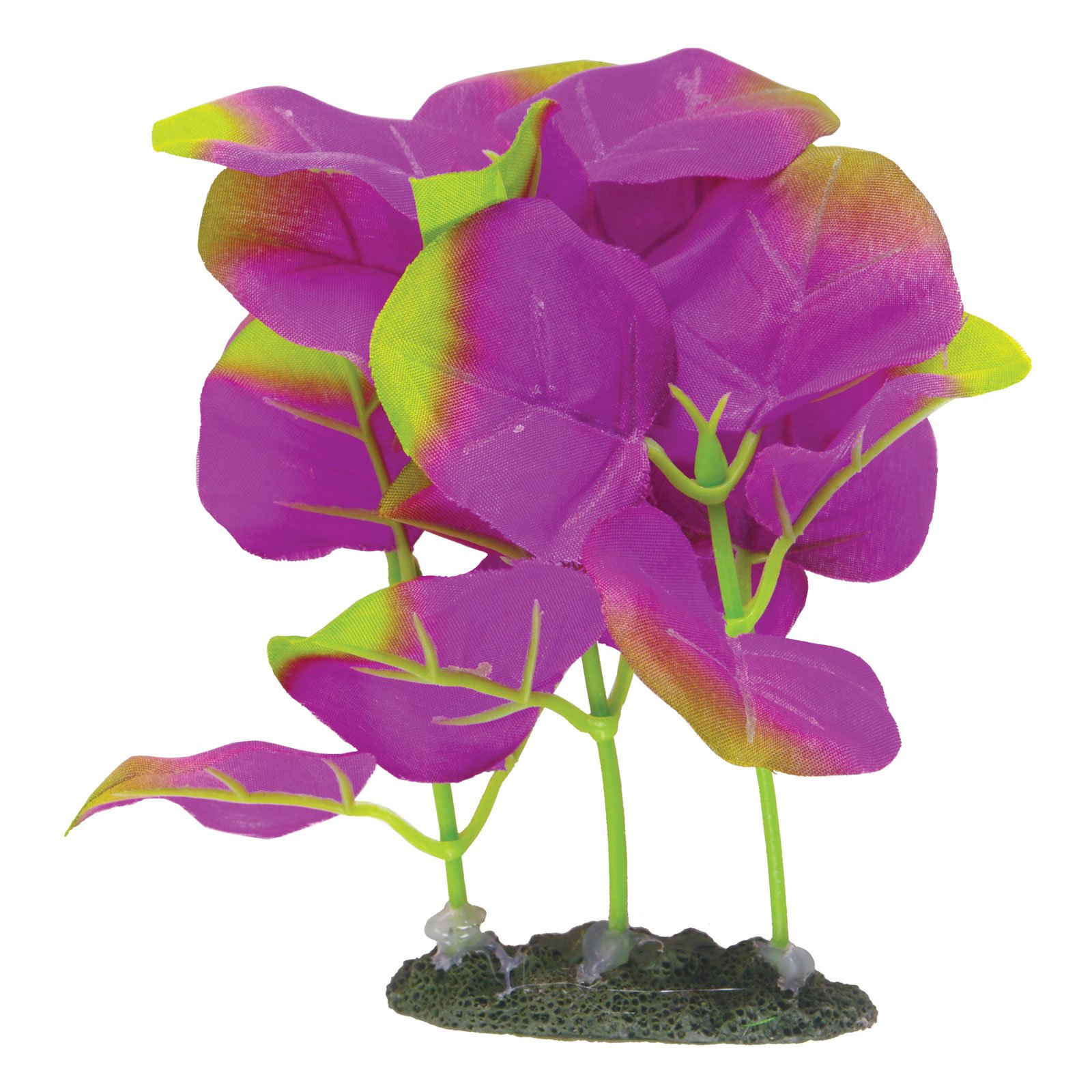 Plante pour aquarium Marina Naturals Moneywort en soie décorative