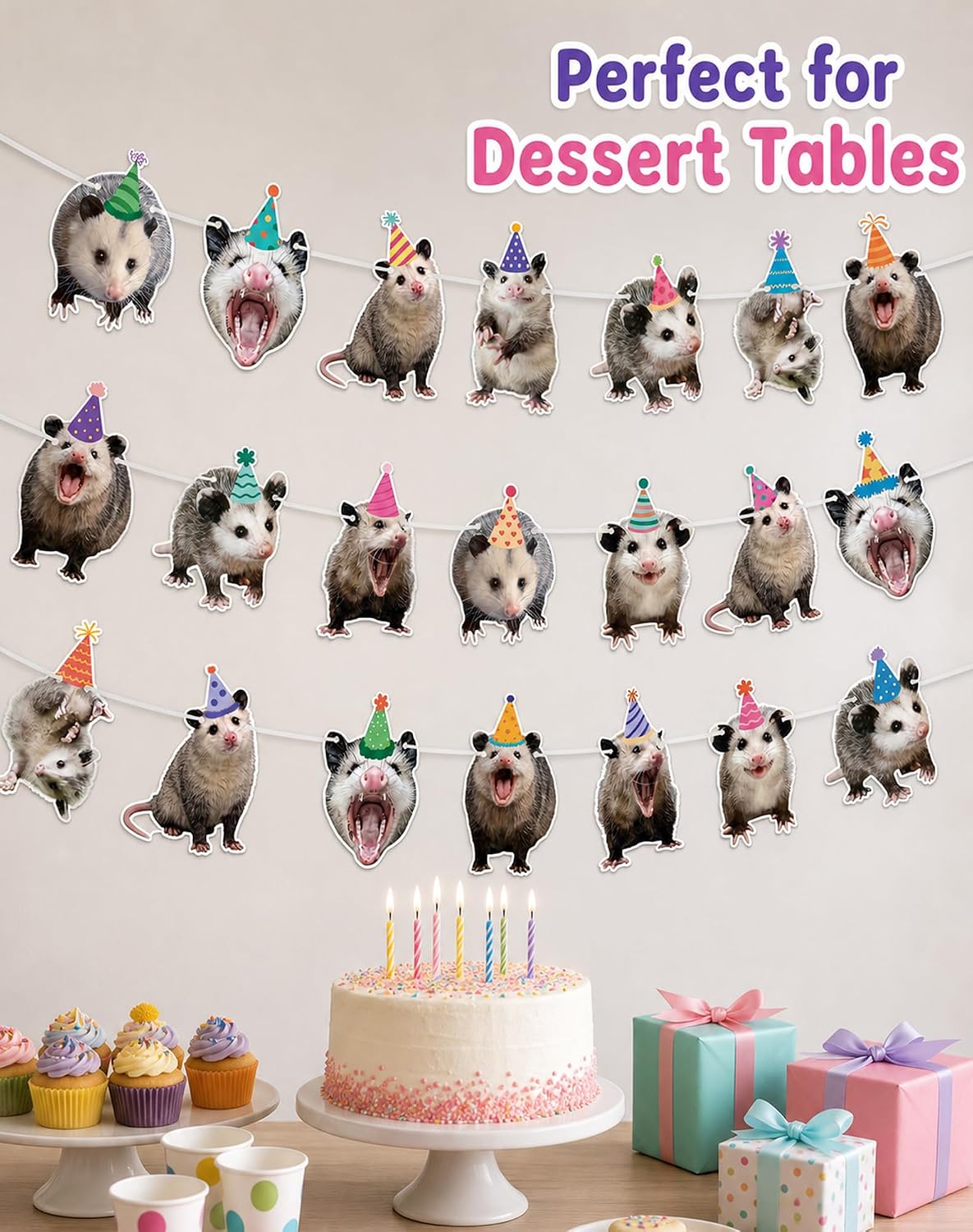 Opossum Birthday Decorations, 3PCS Opossum Party Banner Garland Decor