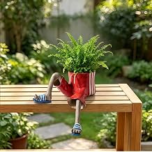 Funny Planter Set with Legs, Cute cantilevered Planters, Succulent Cactus Herb Plant Pots, Unique Decor Gift for Plant Lovers Home Desk Windowsill Decor