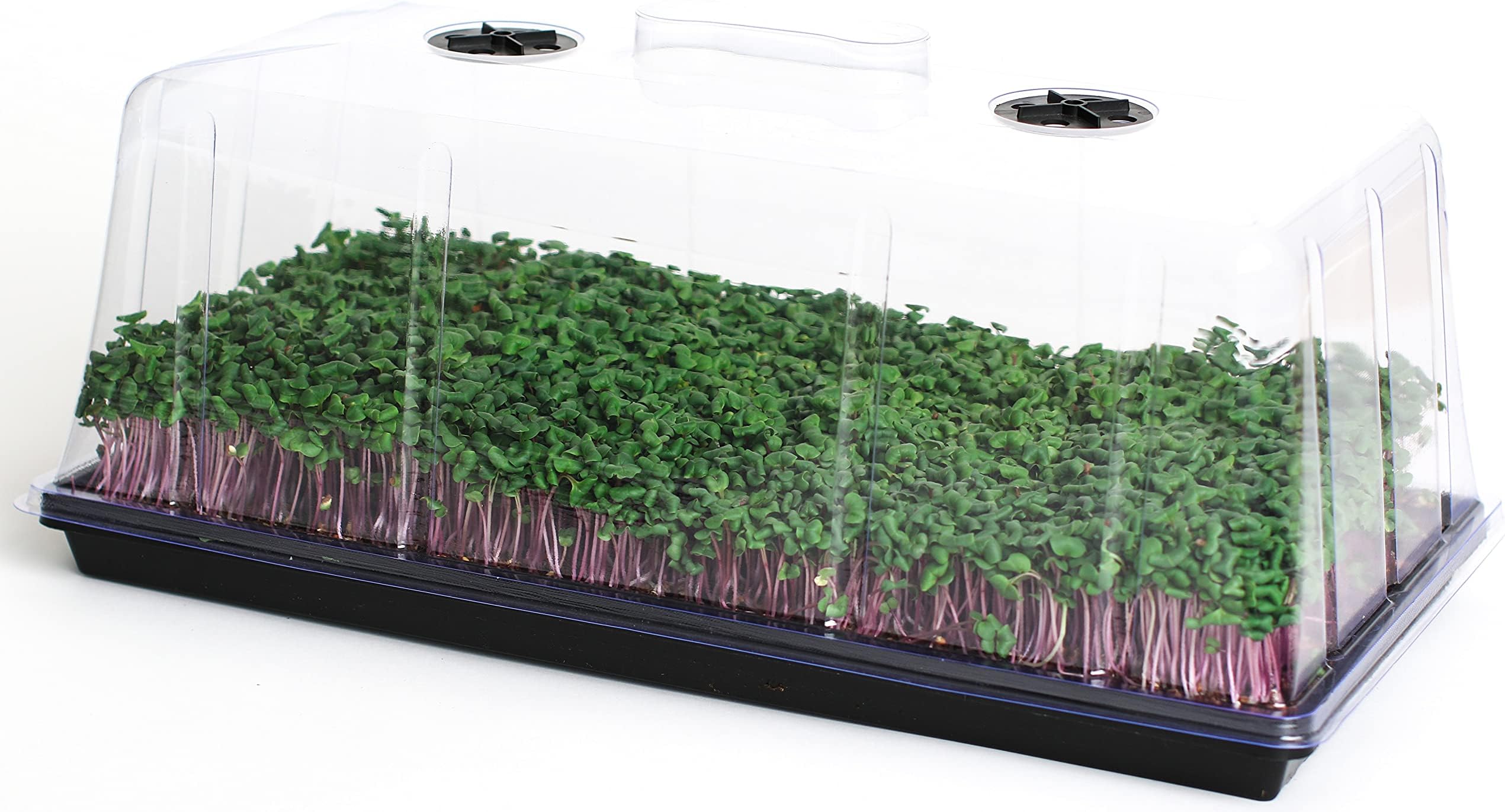 1020 Humidity Dome Lid 7.5" Tall 5 Pack - Extra Strength, Reusable Vented Clear Plastic Germination Dome for Garden Plant Propagation Station for 1020 Tray Seedling Cloning Or Seed Starting