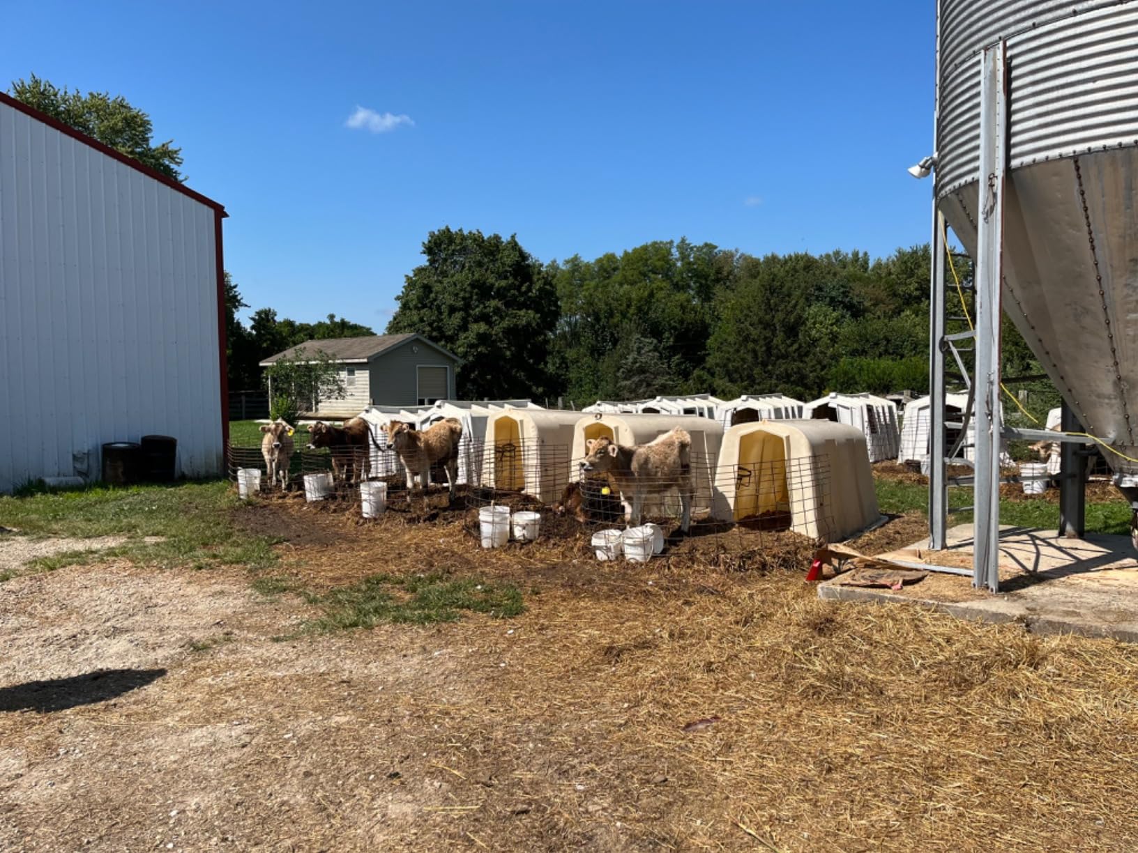 Excellent! Credible! Should be a must read for all politicians.